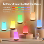RGB Rechargeable LED Night Light Touch & Remote Control